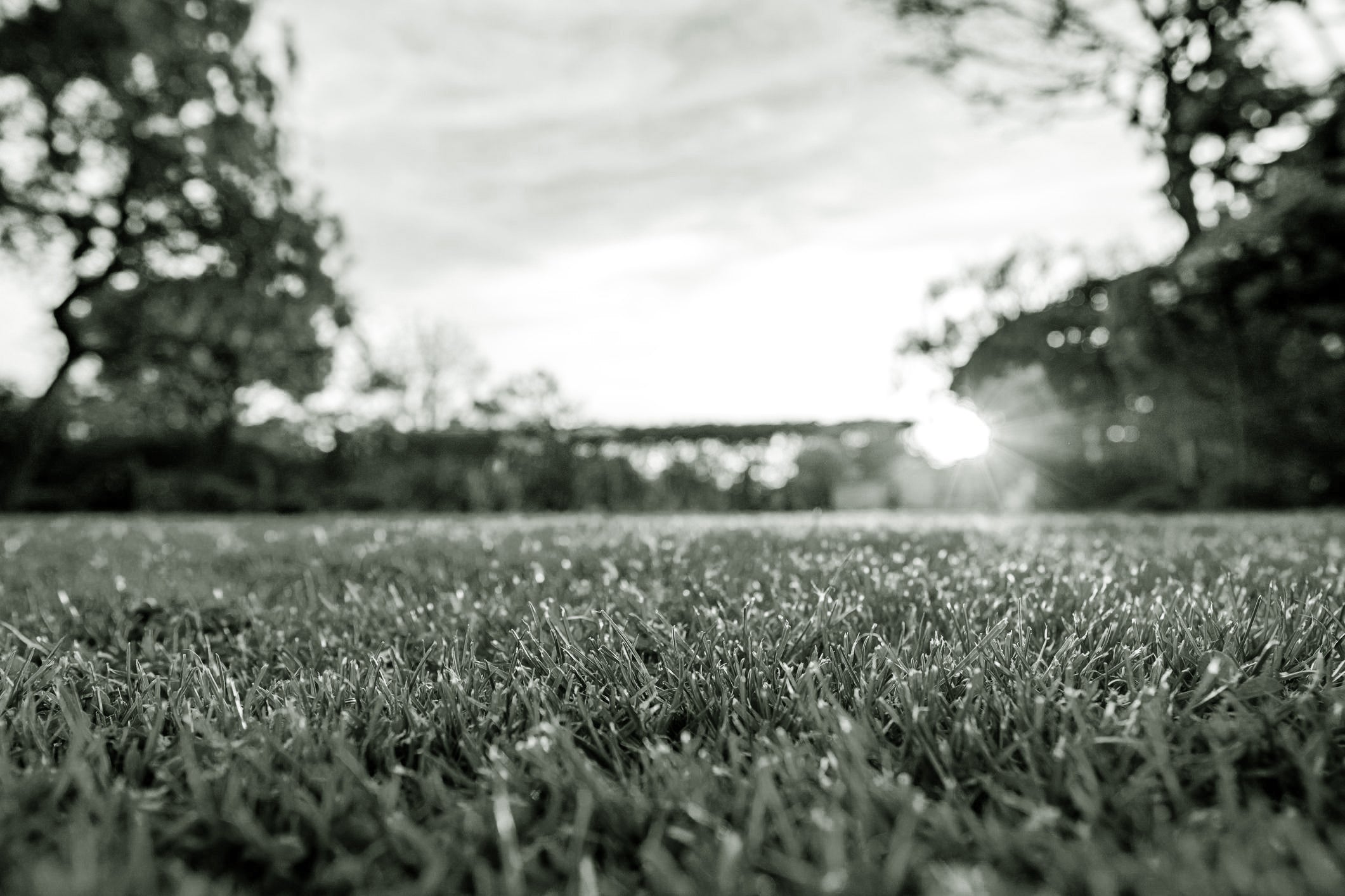 Soil regeneration and organic material transformation