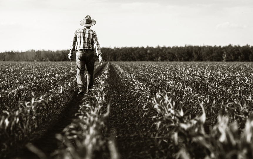 Lifestyle image of natural environment, soil, and plants